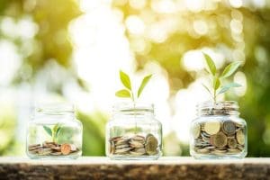 plant pousse dans bocal avec argent
