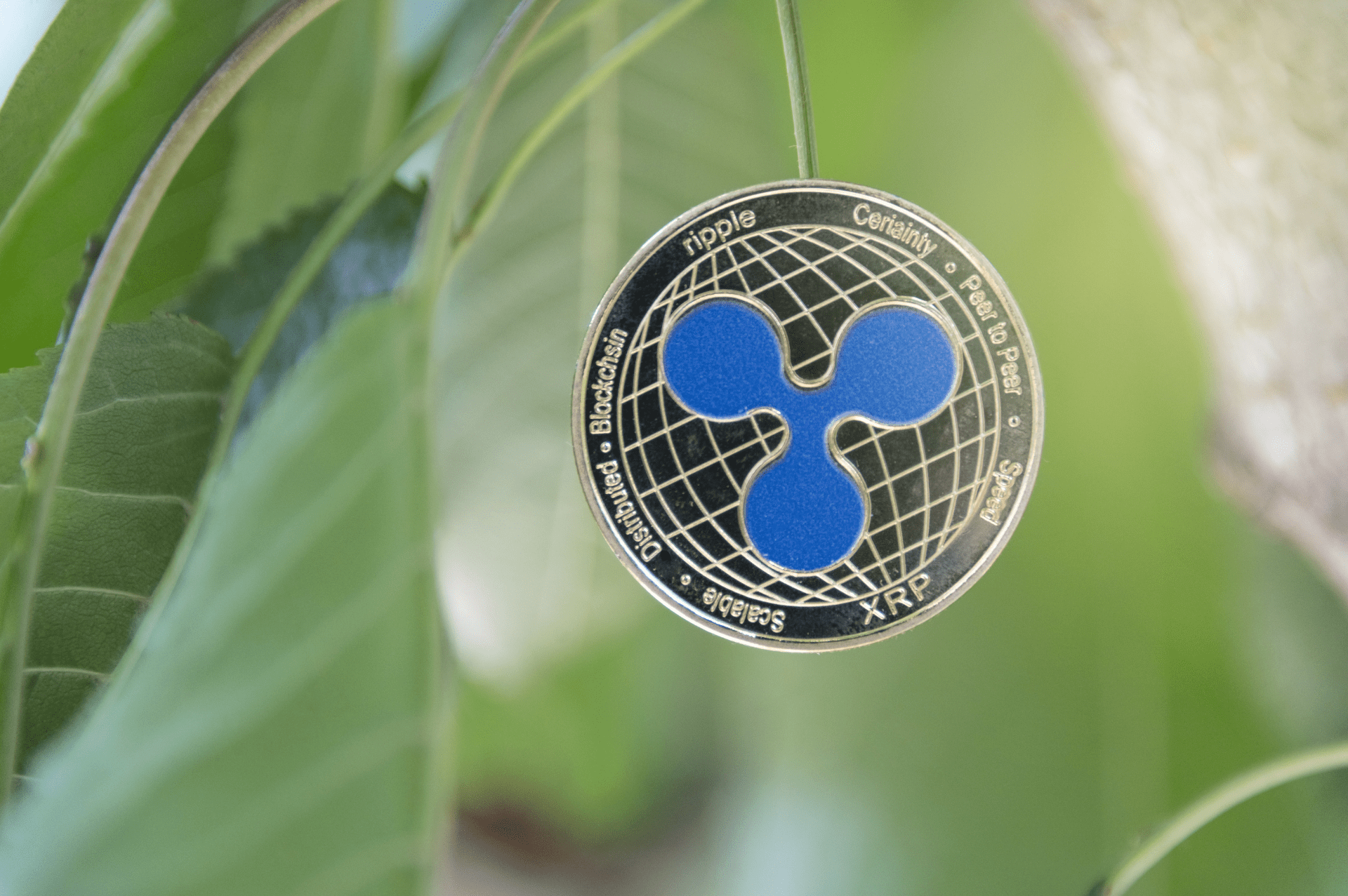 Saison des Altcoins Expliquée : Quelles Cryptomonnaies Mènent la Danse