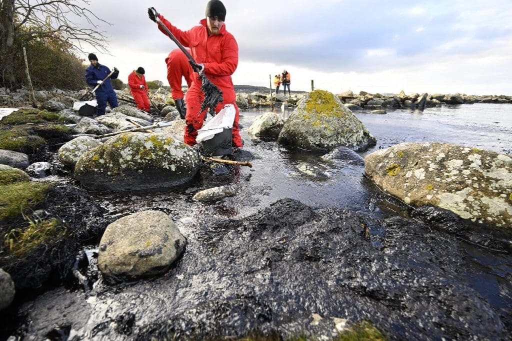 Artic Crimes: Comment les Entreprises Peuvent Naviguer dans l&rsquo;Eau Glacée de la Cybercriminalité