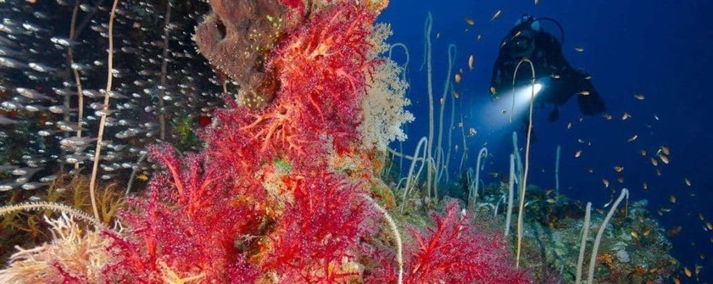 Découvrez Sharm El Sheikh : un guide complet pour votre voyage en Égypte