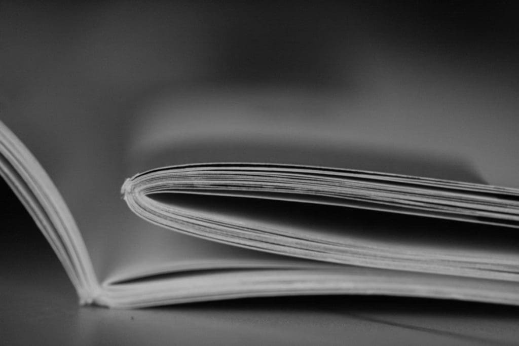 Publication : Un Pilier de la Transparence Économique