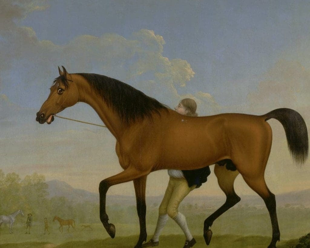 Le cheval bai : caractéristiques et spécificités de cette robe