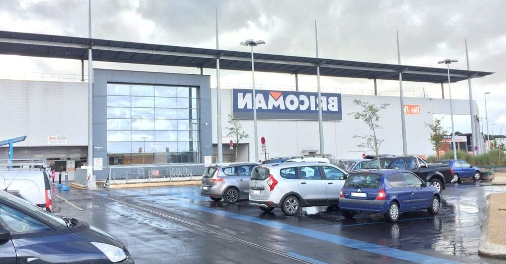 Les 4 Chênes de la Réussite en Entreprise: Clés pour Cultiver la Durabilité et l&rsquo;Innovation