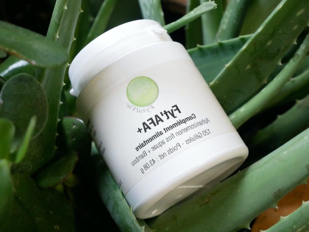 Phyto Compagnon: Votre Allié Naturel dans le Développement Durable de l&rsquo;Entreprise