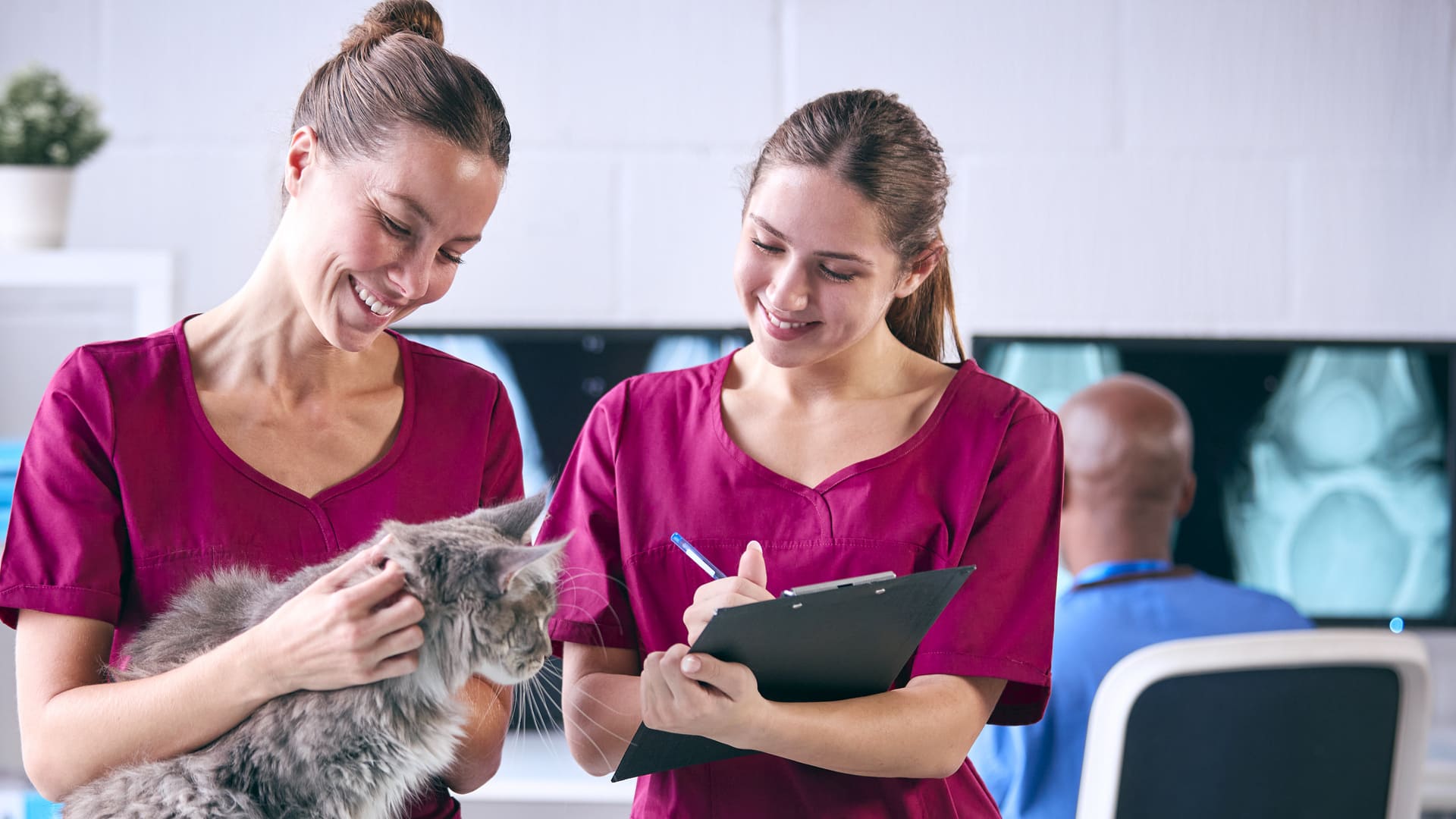 Illustration pour remboursement soins animaux